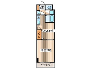 ベルシティ榴ヶ岡の物件間取画像